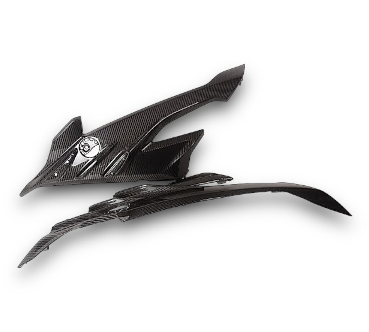 Side panel carbon BMW S1000RR from 2023 K67 pair
