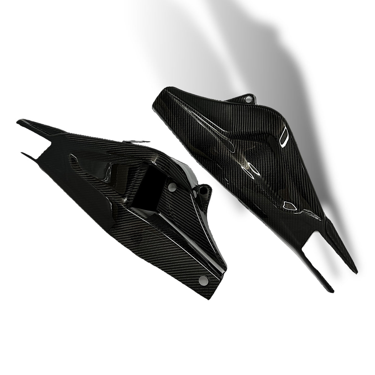 Swingarm protector Carbon BMW S1000RR M1000RR 2019-2024 / BMW S1000R 2021-2024