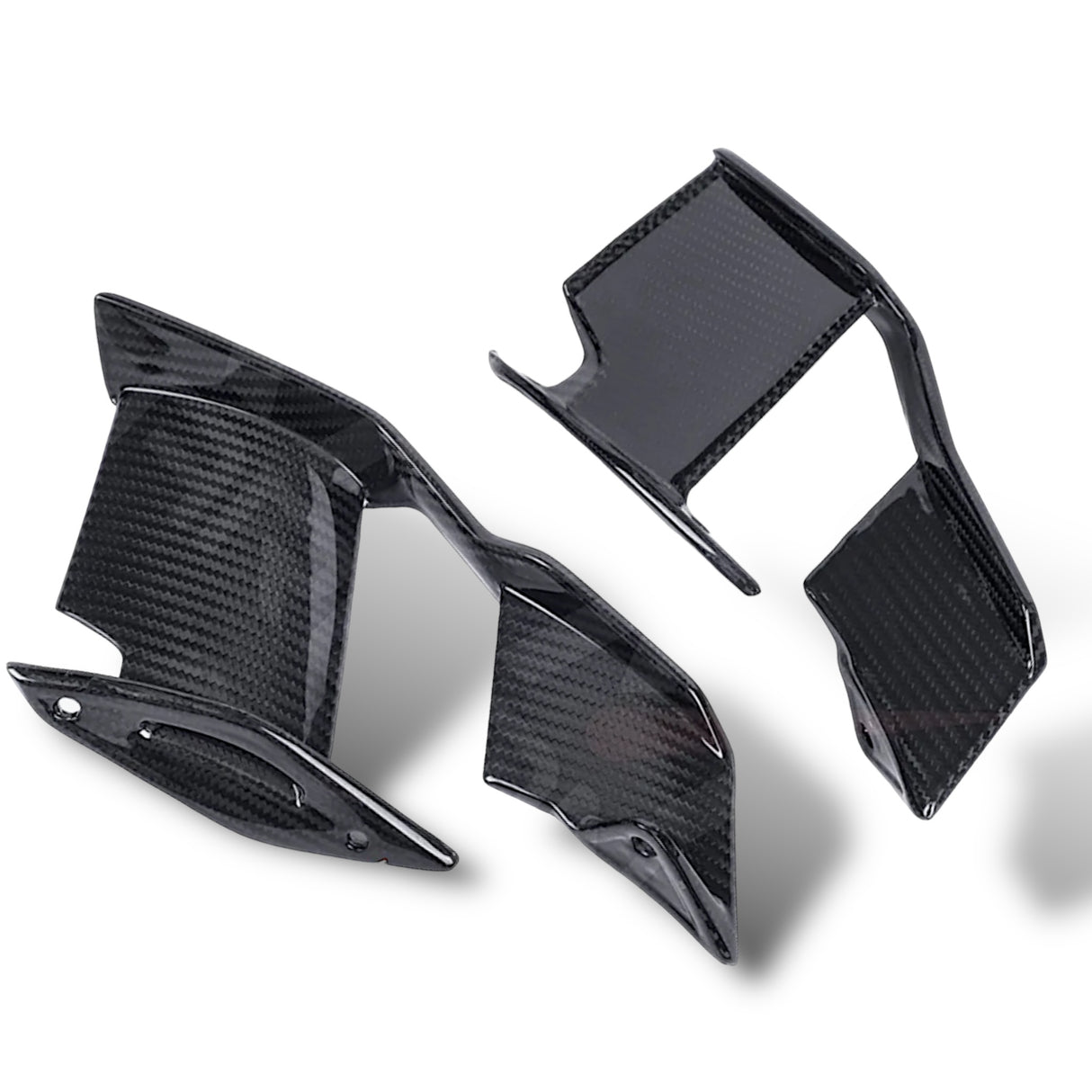 Winglets Carbon BMW S1000R M1000R 2021+ left+right Set