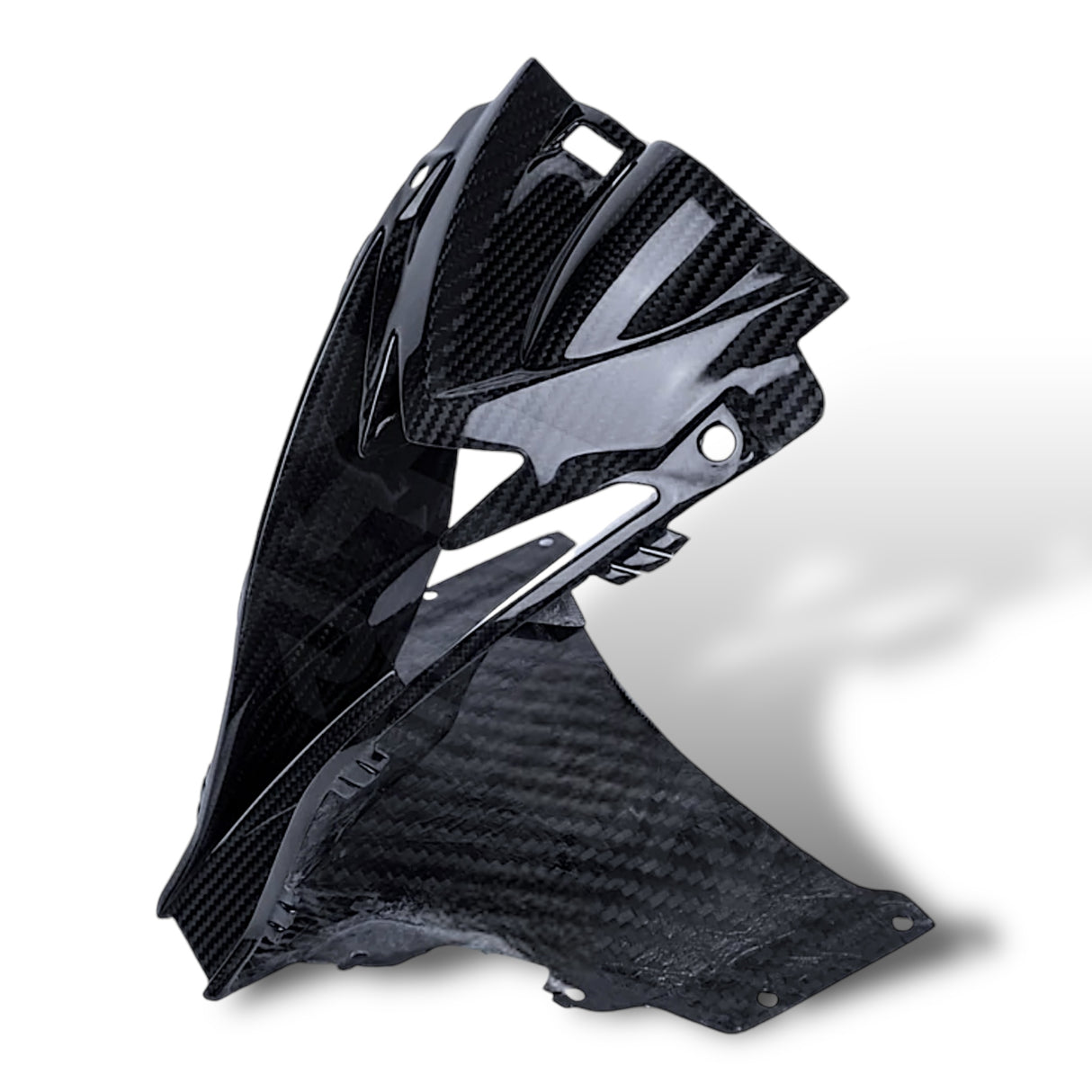 Fairing center section air intake carbon BMW S1000RR M1000RR 2019-2024