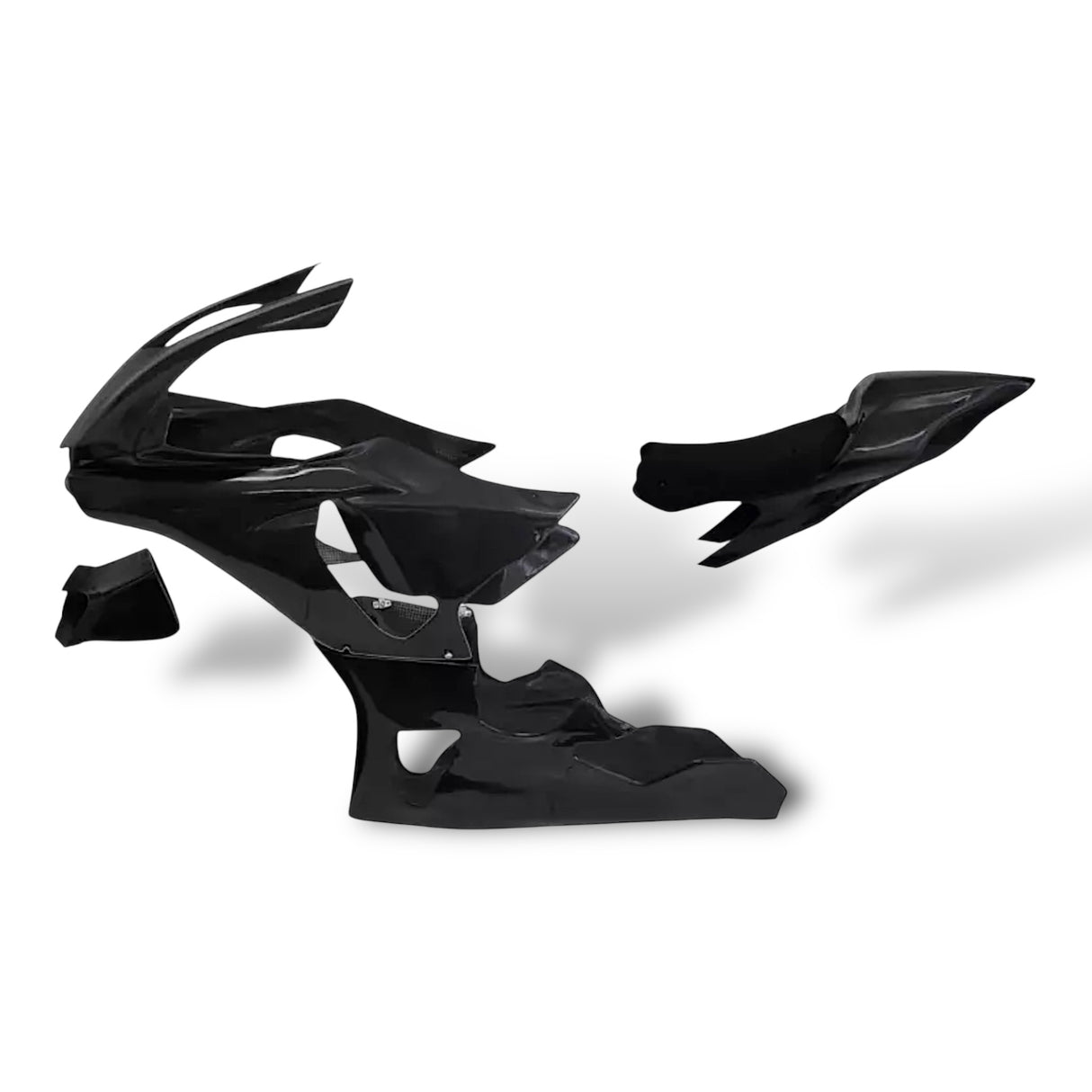 Racing fairing carbon BMW S1000RR M1000RR 2019-2024