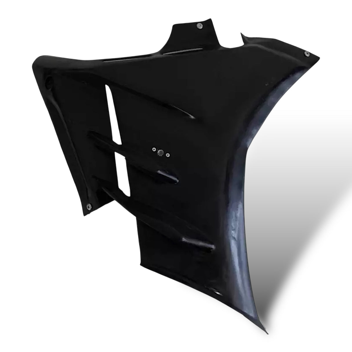 Racing fairing carbon BMW S1000RR M1000RR 2019-2024