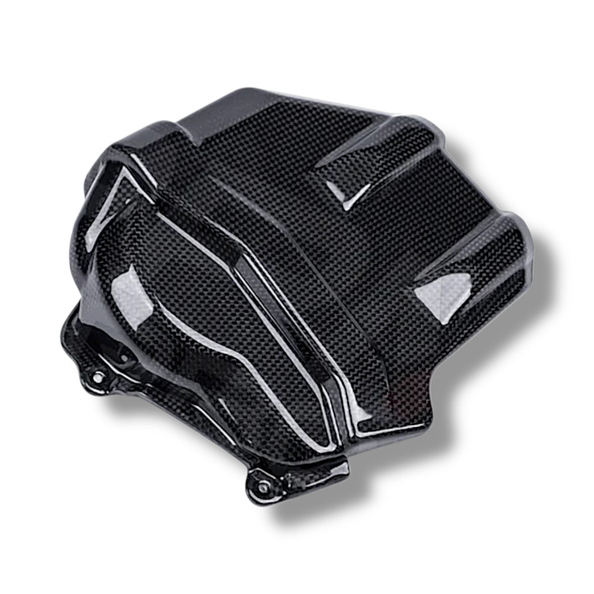 Manifold cover heat protection carbon Ducati Panigale V4 Streetfighter V4