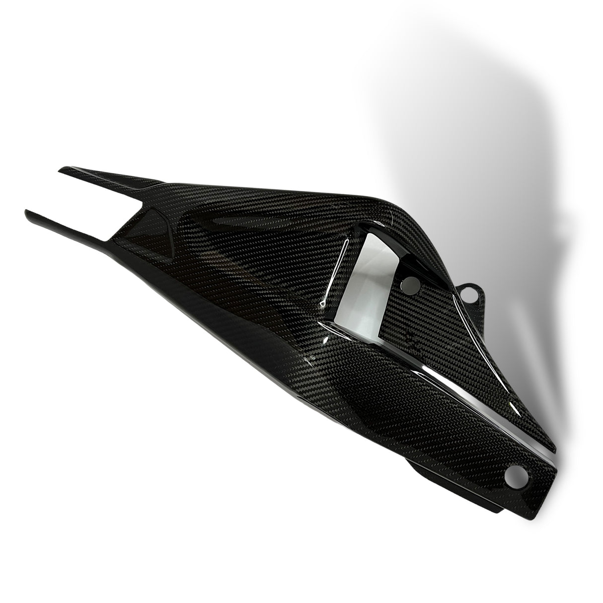 Swingarm protector Carbon BMW S1000RR M1000RR 2019-2024 / BMW S1000R 2021-2024