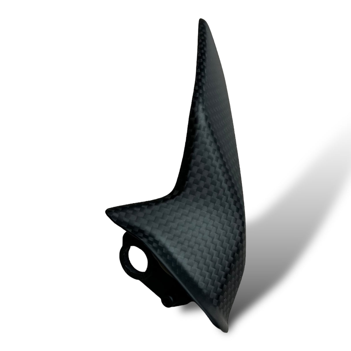 Kettenschutz Kettenfinne Carbon KIT Ducati Panigale V2 Streetfighter V2 1299 1199