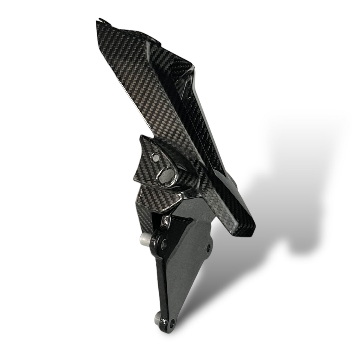 Kennzeichenhalter Carbon BMW S1000RR 2019+