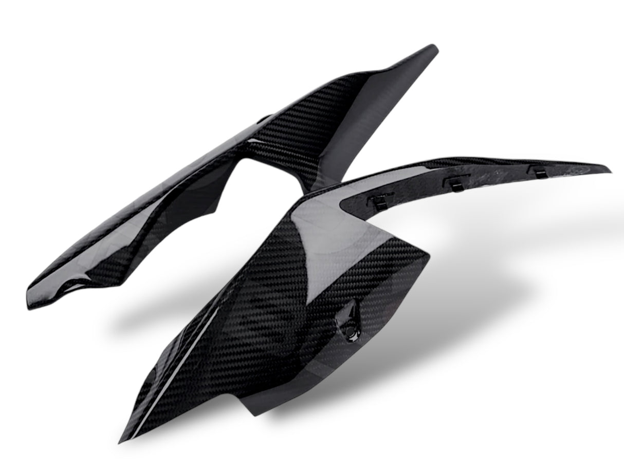 Heckseitenverkleidung Carbon BMW S1000RR M1000RR 2019+