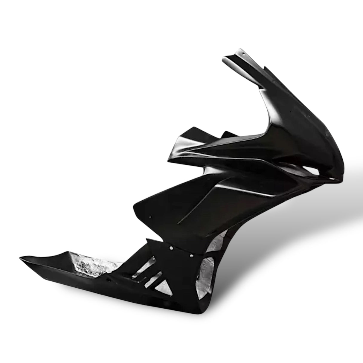 Racing fairing carbon BMW S1000RR M1000RR 2019-2024