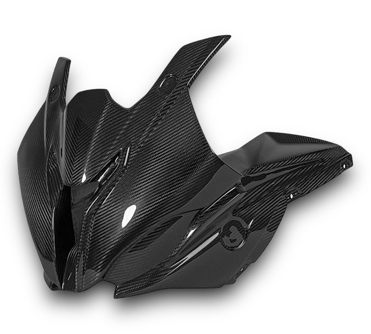 Racing fairing carbon BMW S1000RR M1000RR 2019-2024