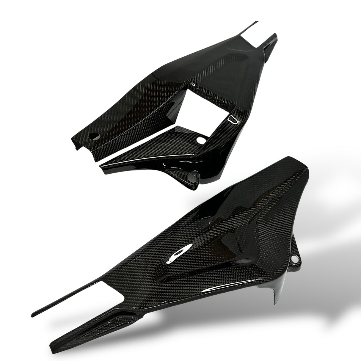 Swingarm protector Carbon BMW S1000RR M1000RR 2019-2024 / BMW S1000R 2021-2024