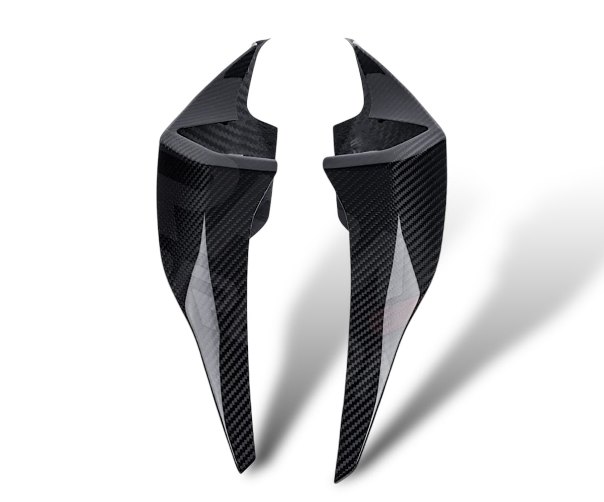 Heckseitenverkleidung Carbon BMW S1000RR M1000RR 2019+