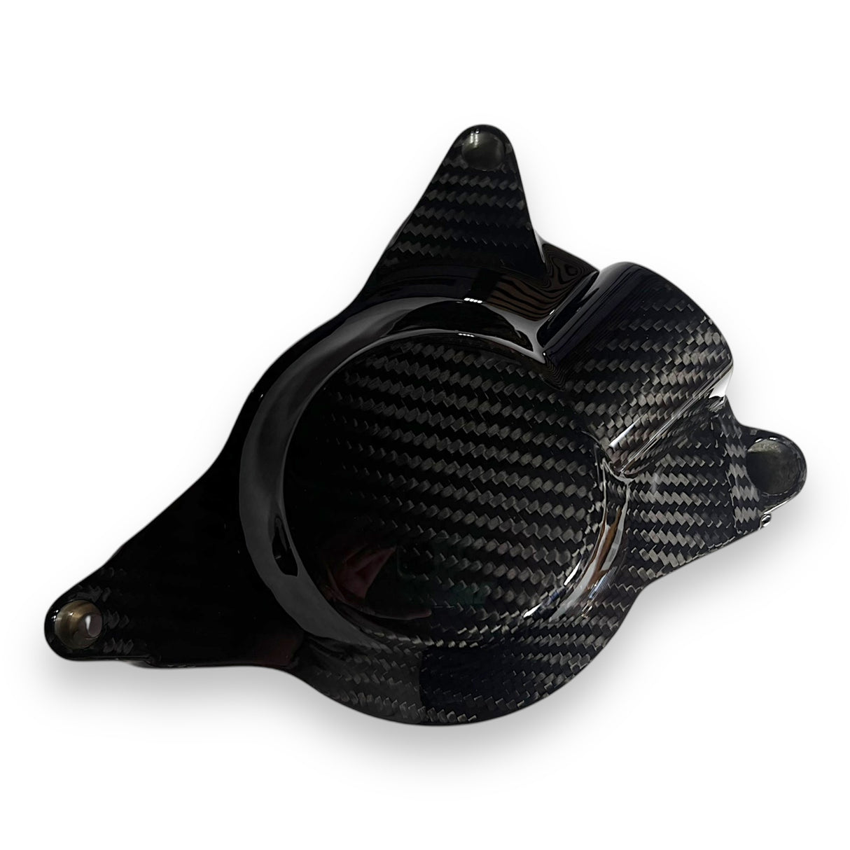 Engine cover protection Carbon BMW S1000RR 2009-2014