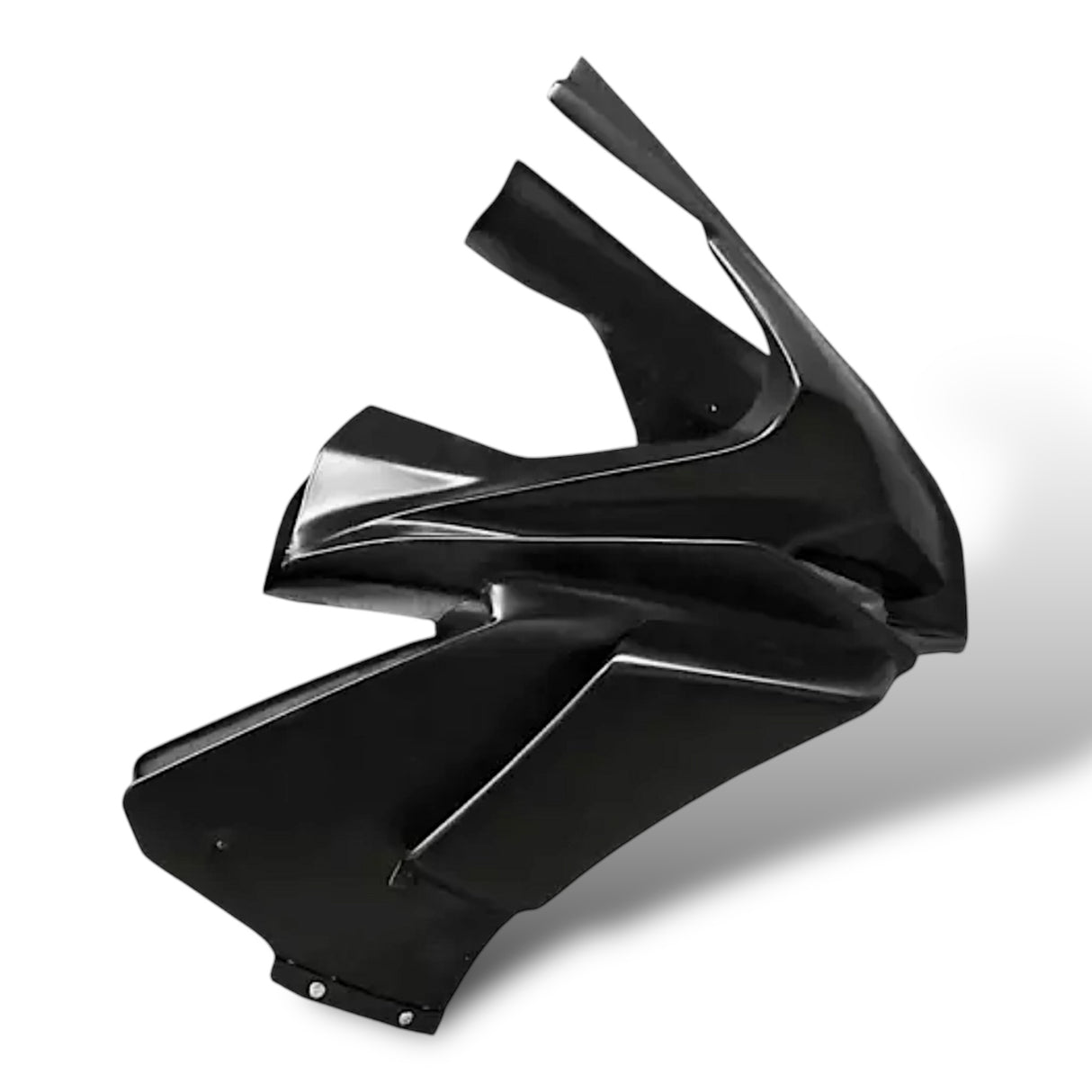 Racing fairing carbon BMW S1000RR M1000RR 2019-2024