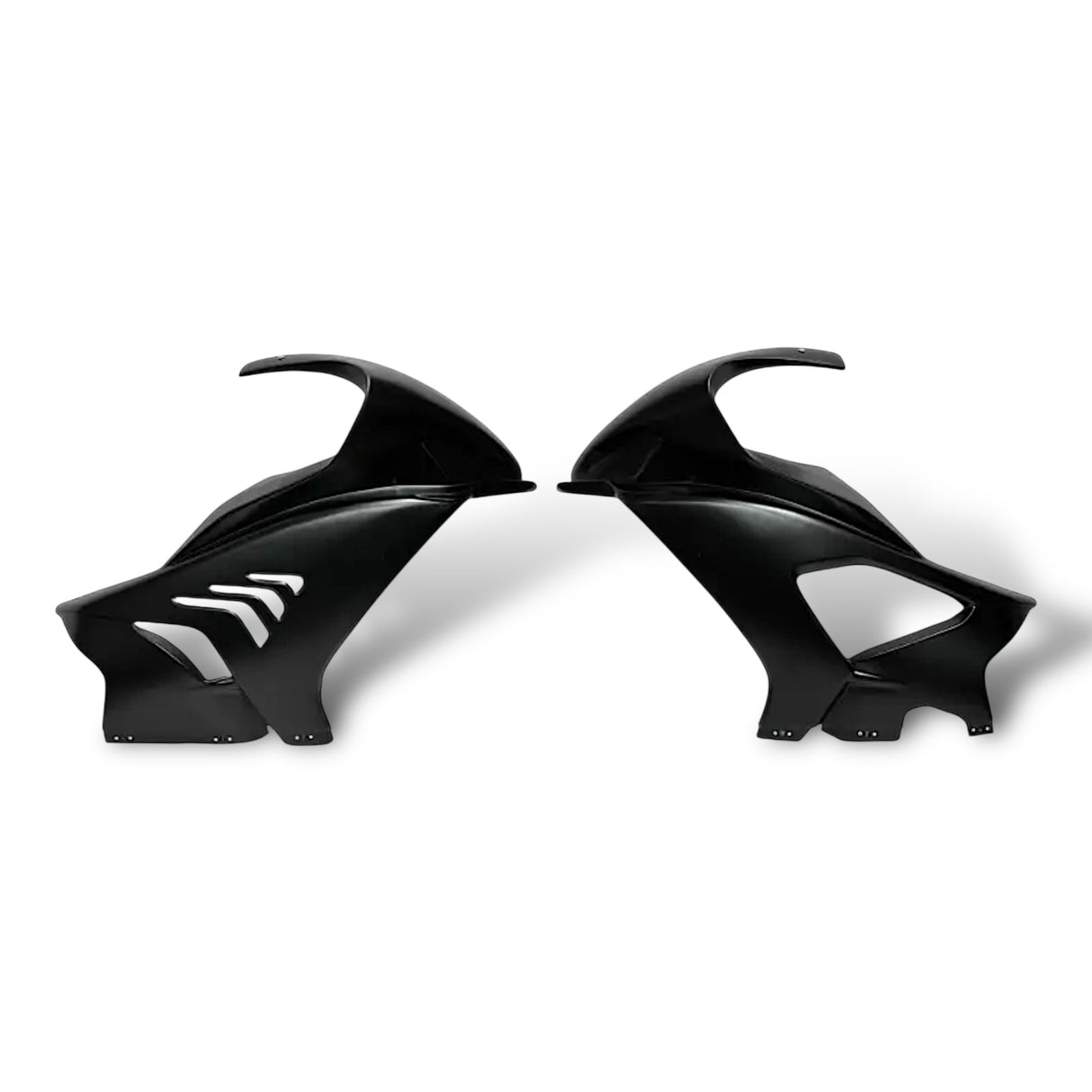 Racing fairing carbon BMW S1000RR M1000RR 2019-2024