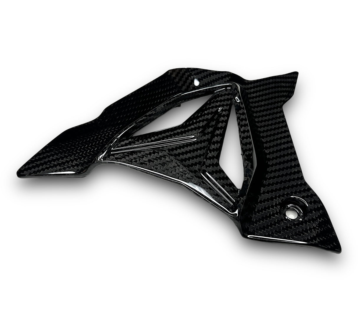 Sprocket Cover Carbon BMW S1000RR M1000RR S1000R 2019-2024