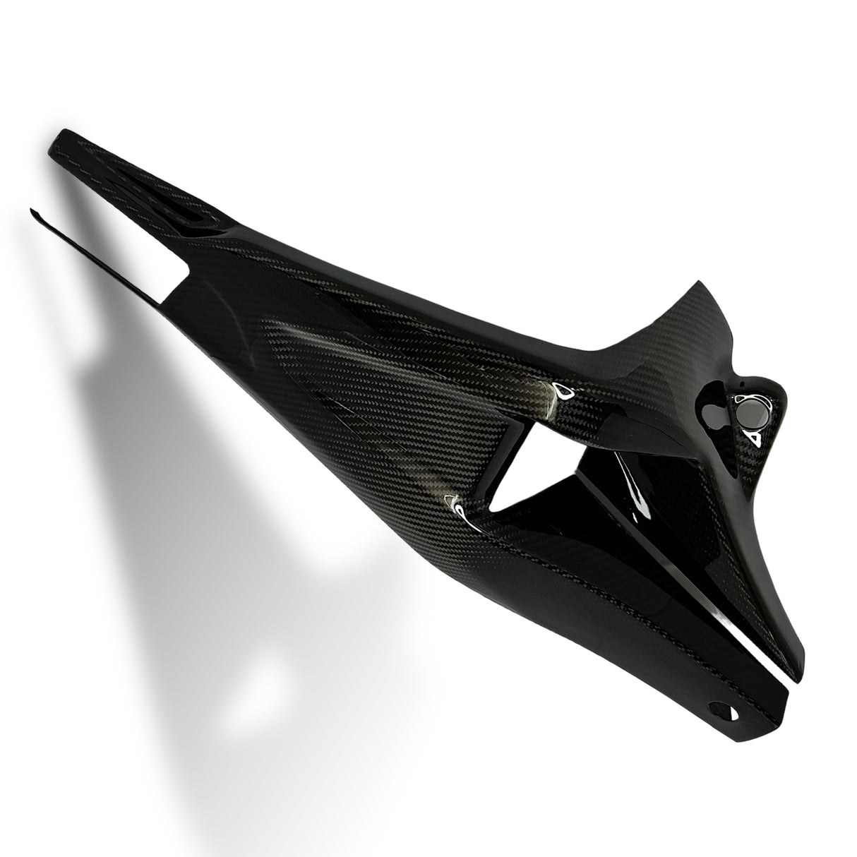 Swingarm protector Carbon BMW S1000RR M1000RR 2019-2024 / BMW S1000R 2021-2024