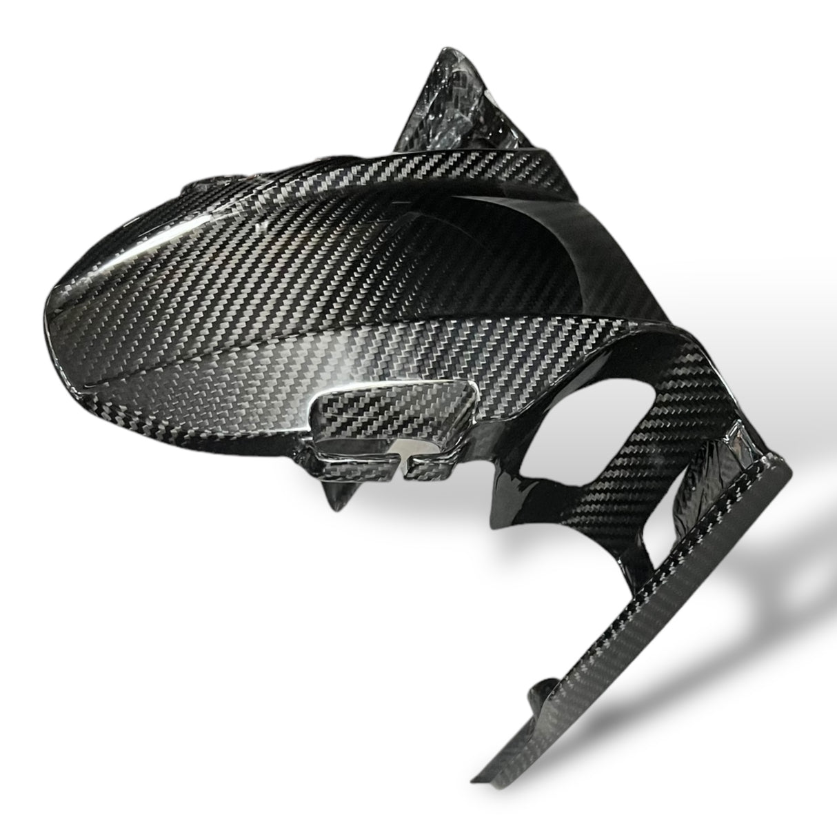 Rear wheel cover+chain guard Carbon Ducati Panigale V4 Streetfighter V4