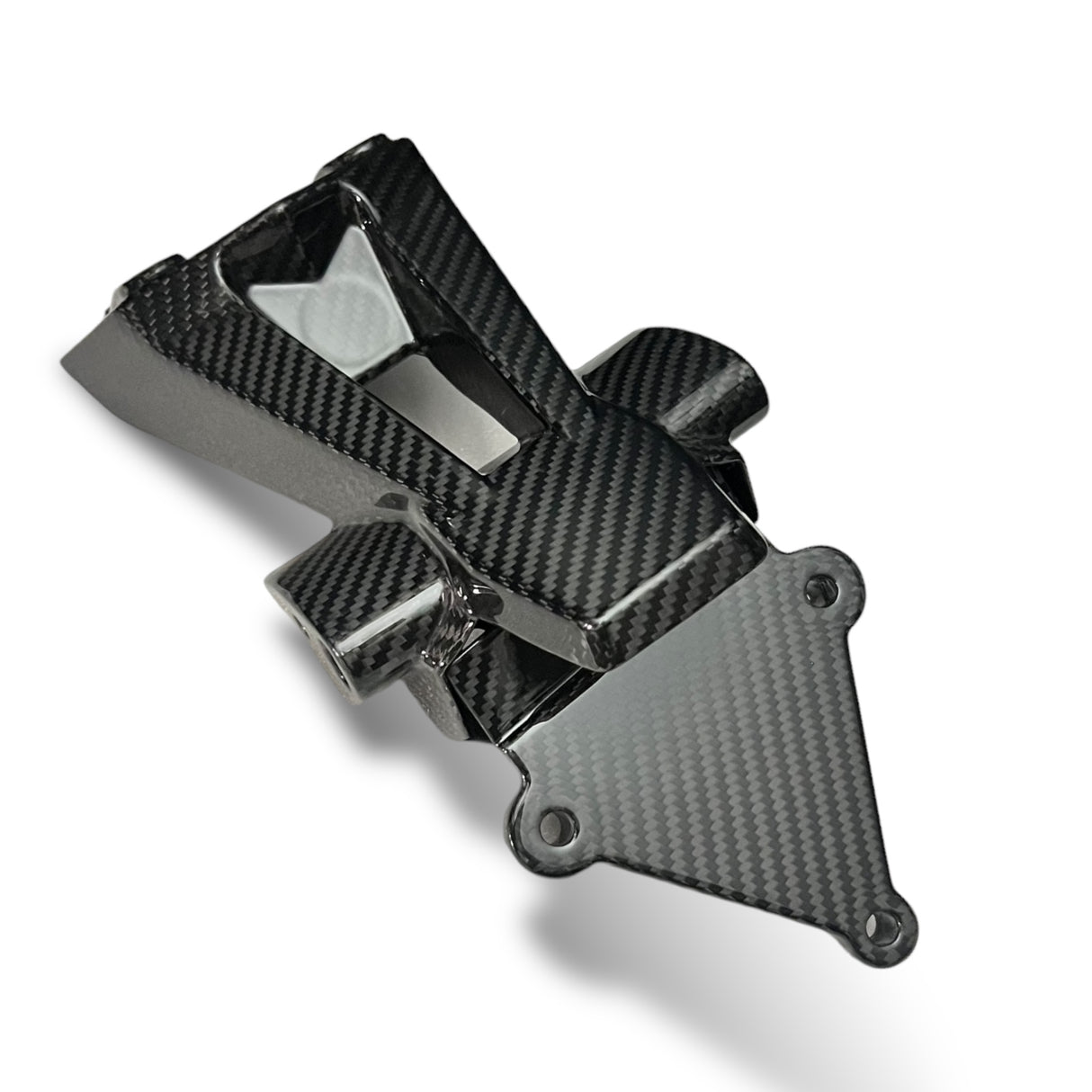 Kennzeichenhalter Carbon BMW S1000RR 2019+