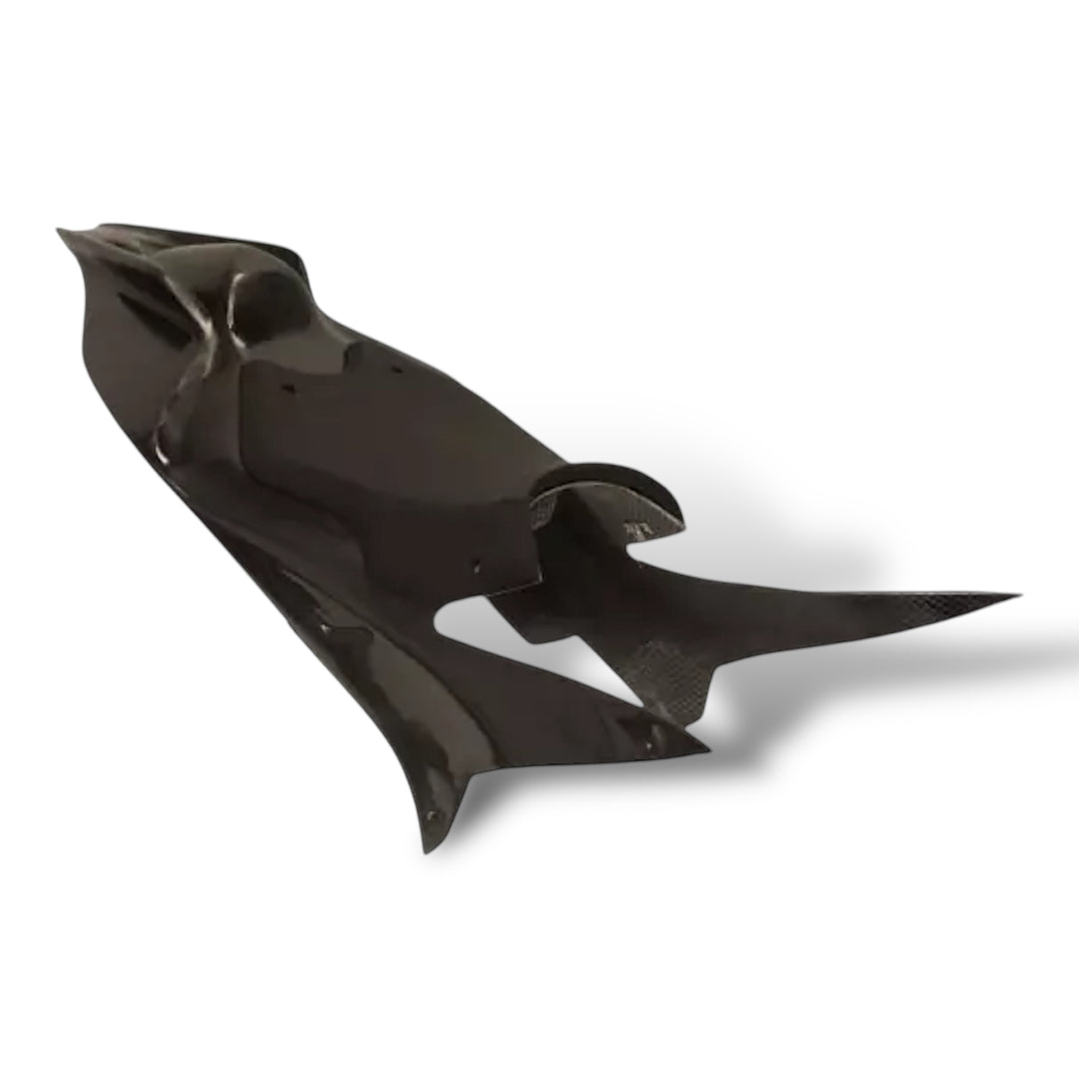 Racing fairing carbon BMW S1000RR M1000RR 2019-2024