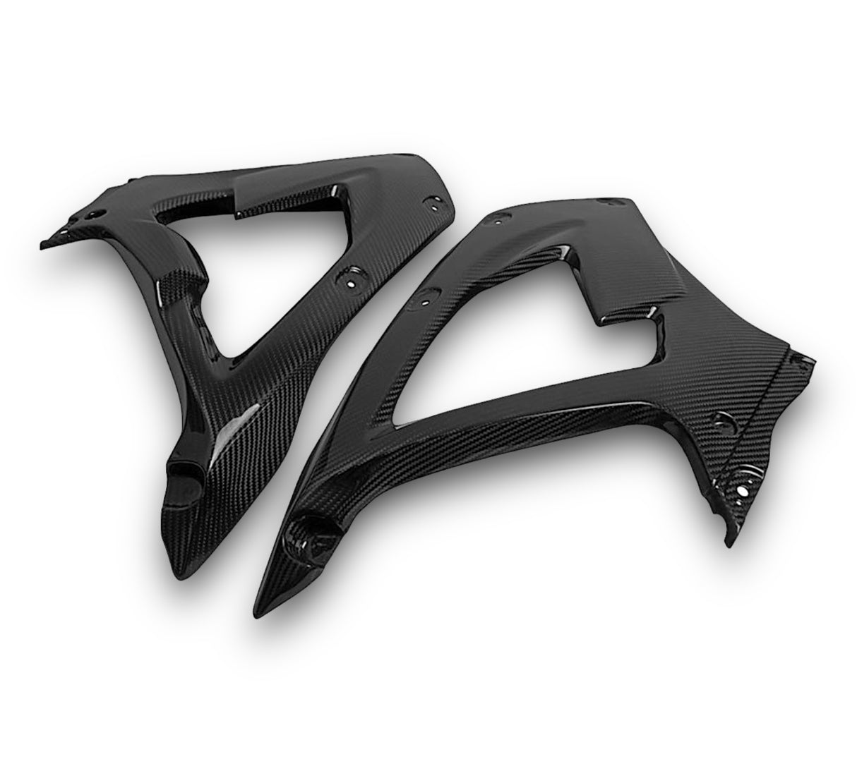 Racing fairing carbon BMW S1000RR M1000RR 2019-2024