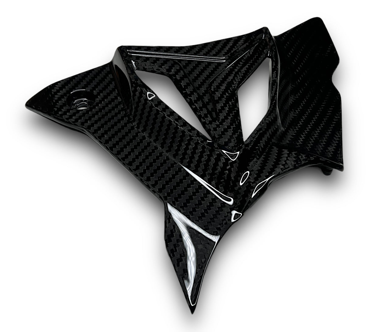 Sprocket Cover Carbon BMW S1000RR M1000RR S1000R 2019-2024