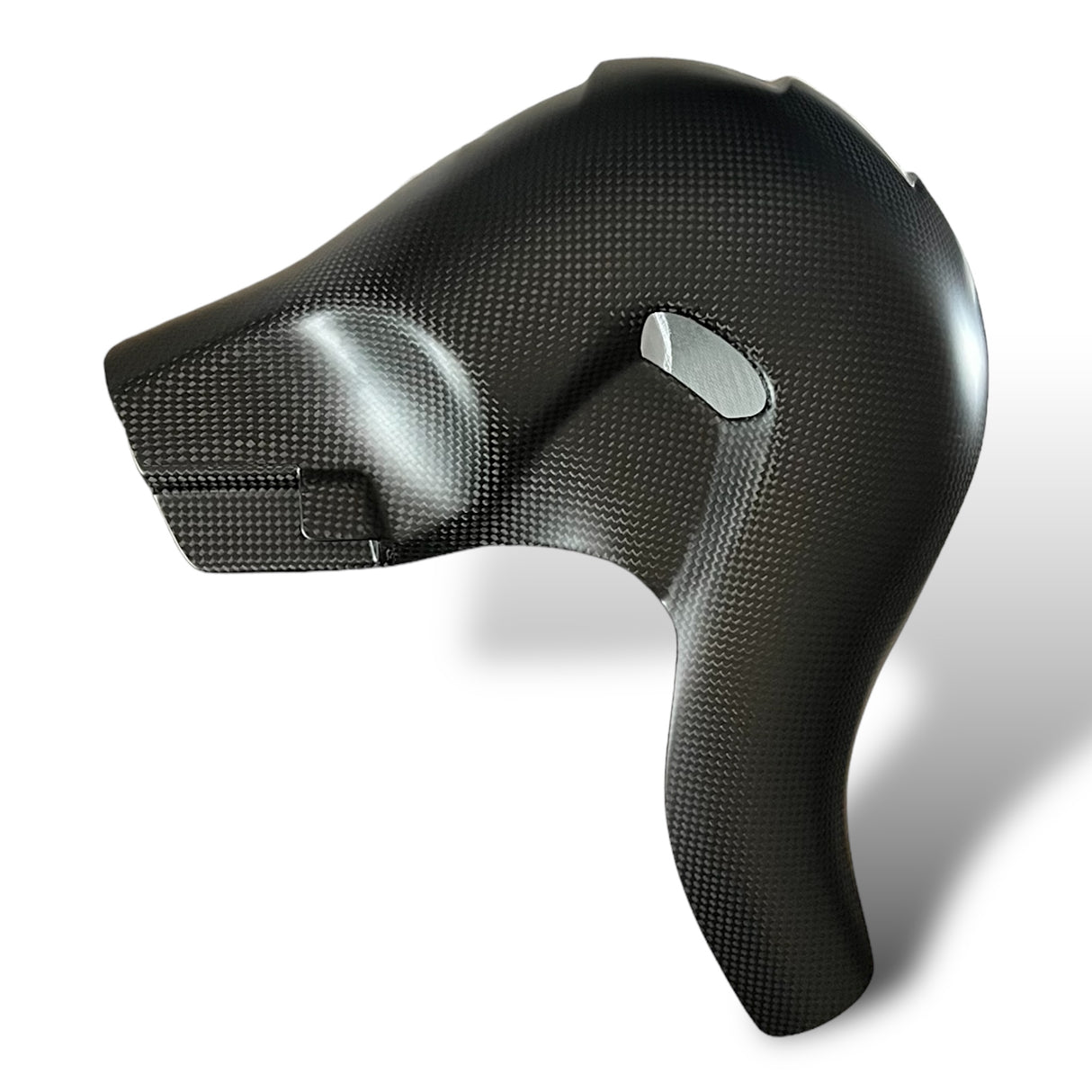 Manifold cover heat protection carbon Ducati Panigale V4 Streetfighter V4