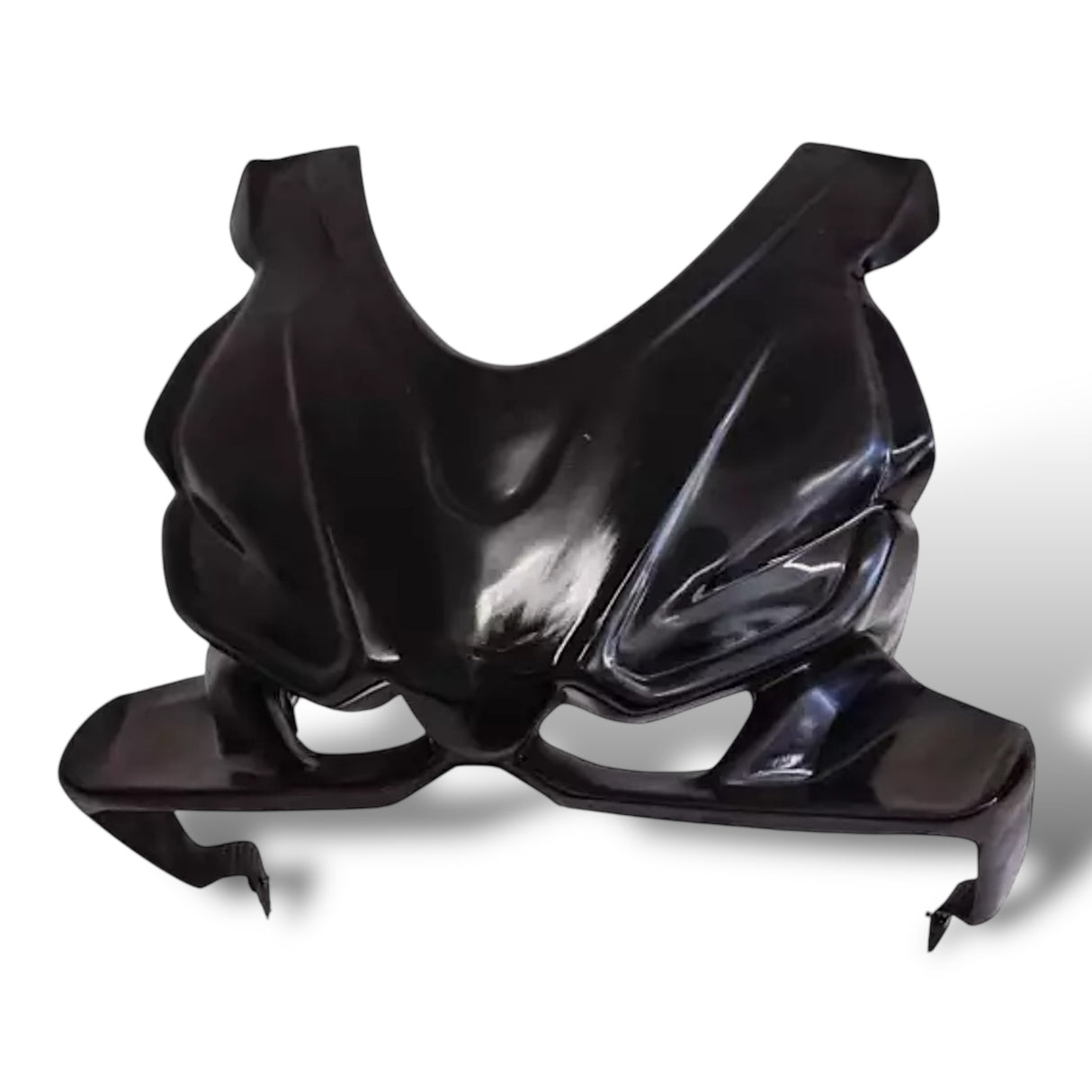 Racing fairing carbon BMW S1000RR M1000RR 2019-2024