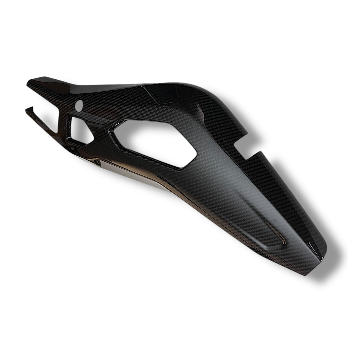 Swingarm protector Carbon BMW S1000RR M1000RR 2019-2024 / BMW S1000R 2021-2024