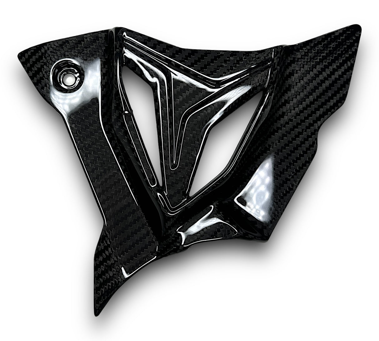 Sprocket Cover Carbon BMW S1000RR M1000RR S1000R 2019-2024