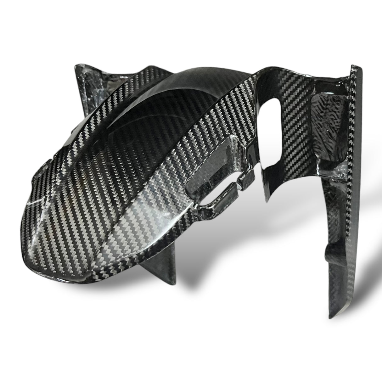 Rear wheel cover+chain guard Carbon Ducati Panigale V4 Streetfighter V4