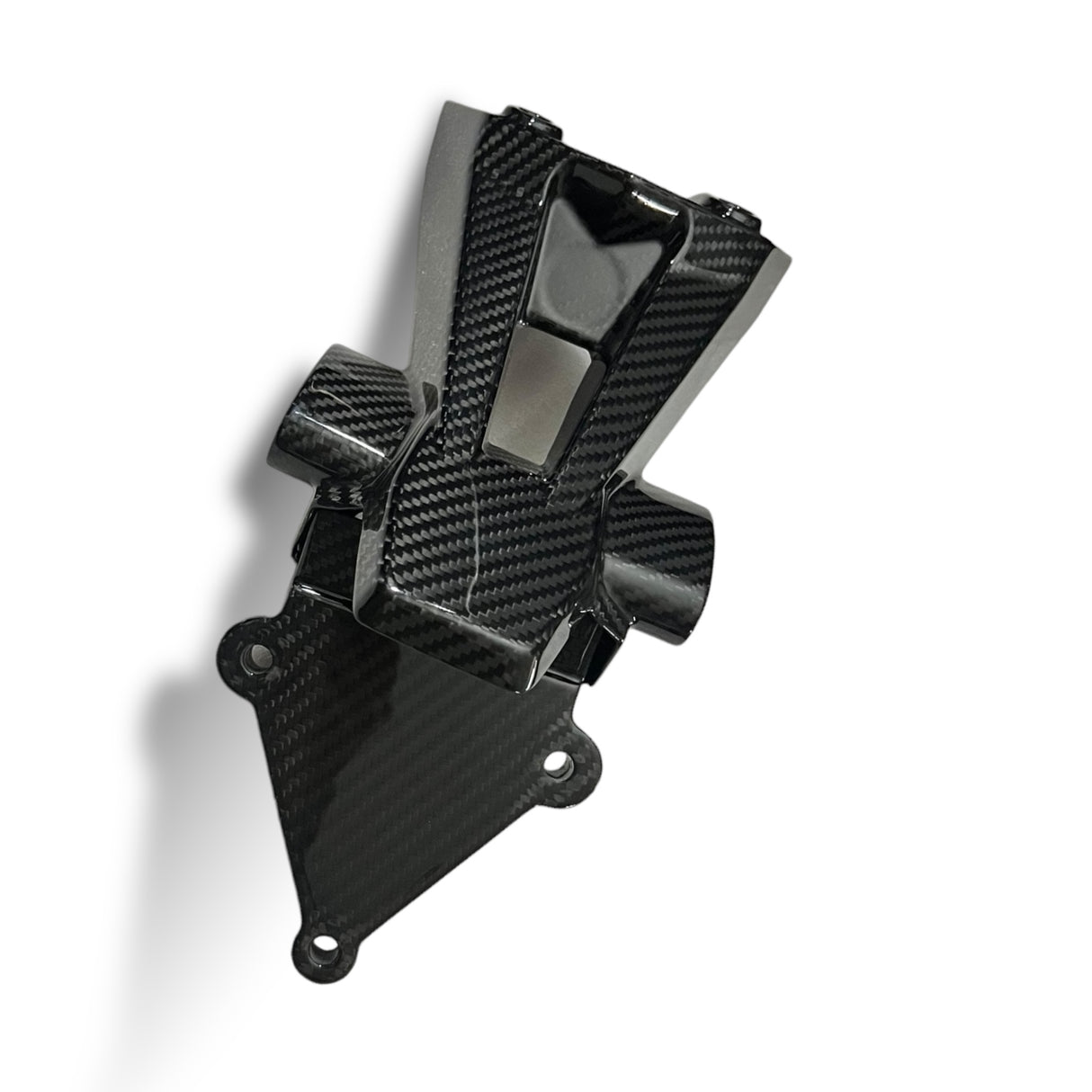 Kennzeichenhalter Carbon BMW S1000RR 2019+