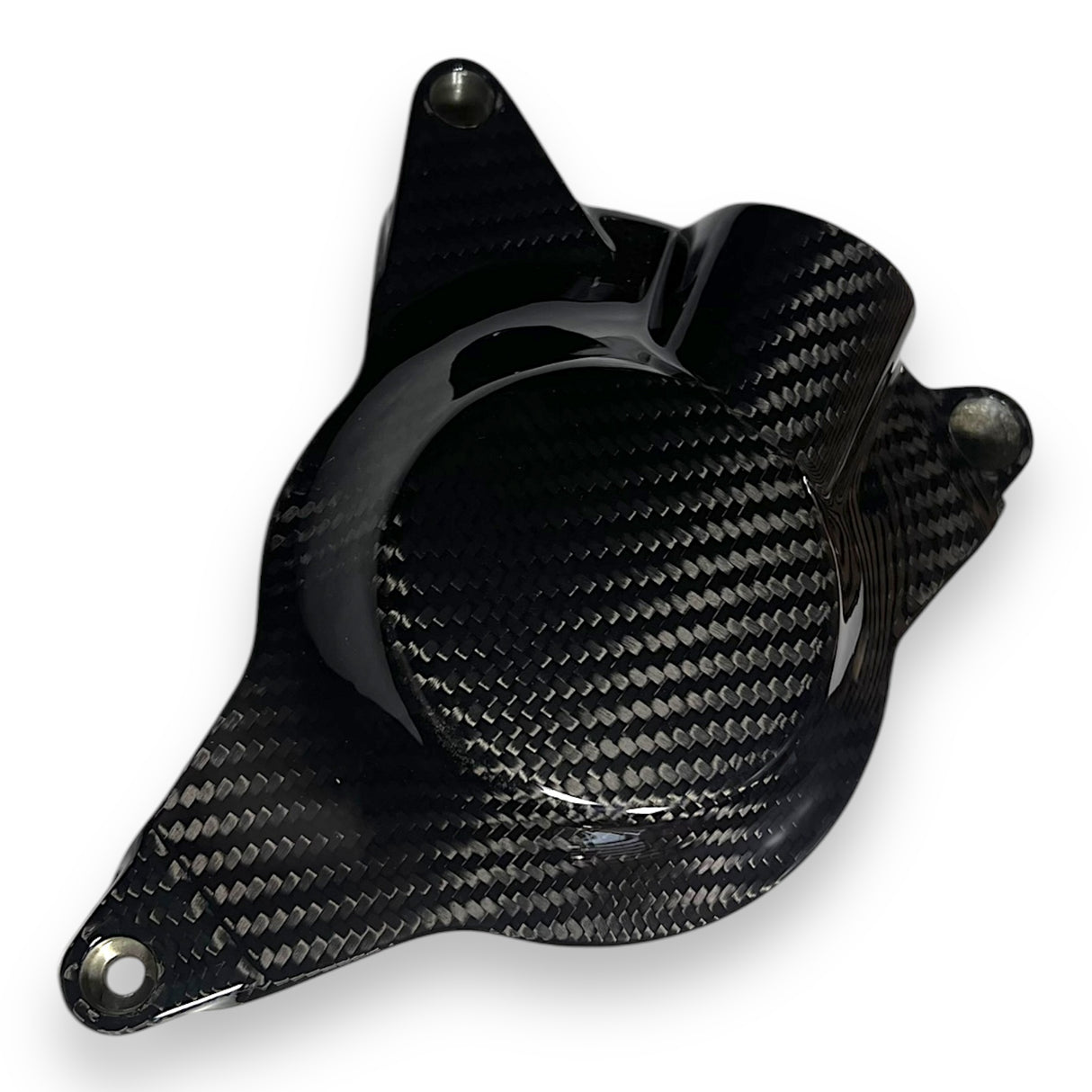 Engine cover protection Carbon BMW S1000RR 2009-2014