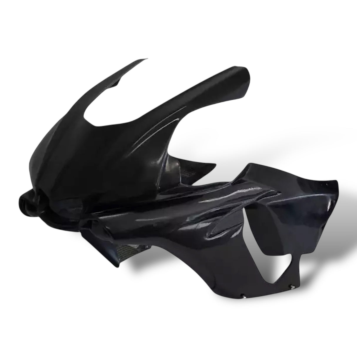 Racing fairing carbon BMW S1000RR M1000RR 2019-2024