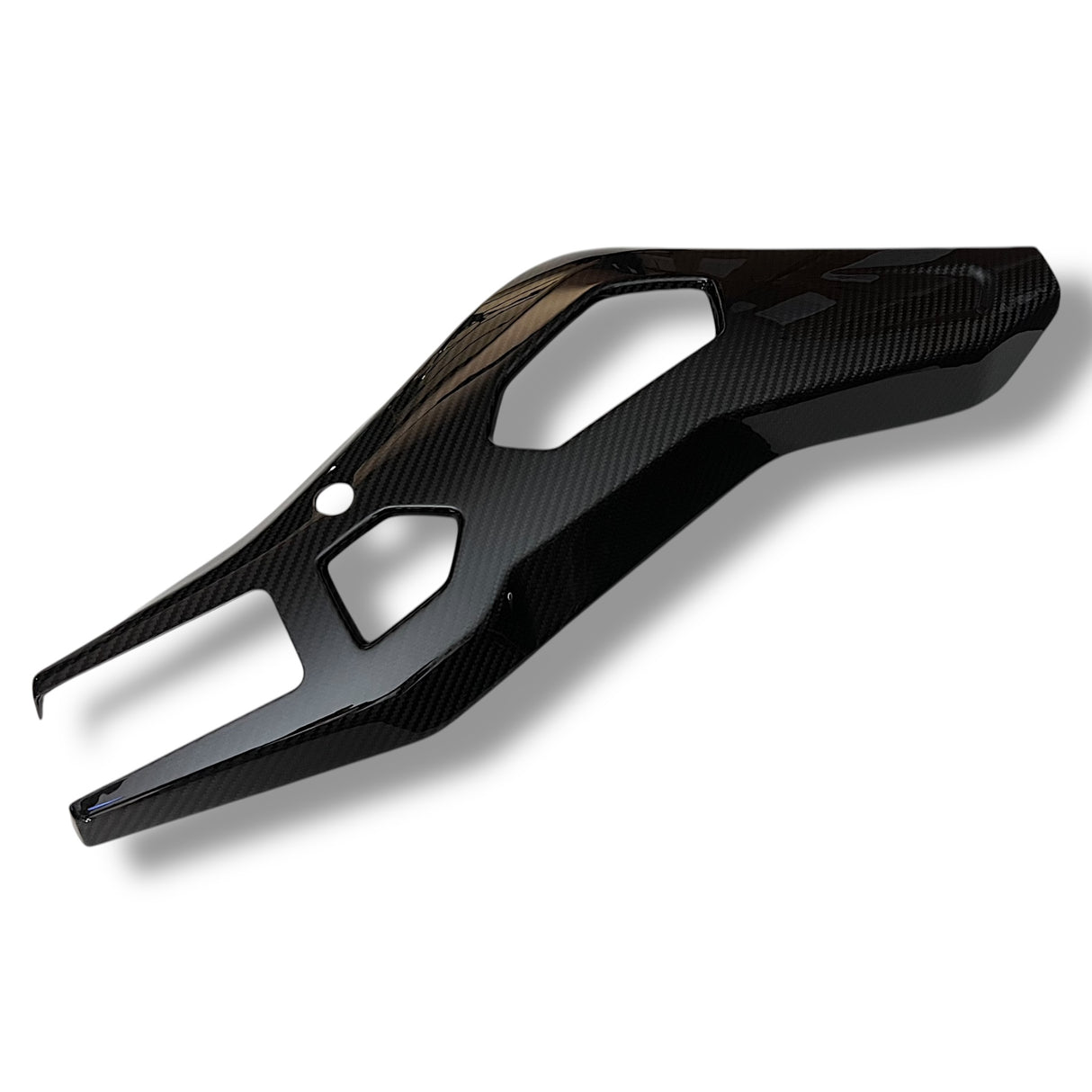 Swingarm protector Carbon BMW S1000RR M1000RR 2019-2024 / BMW S1000R 2021-2024