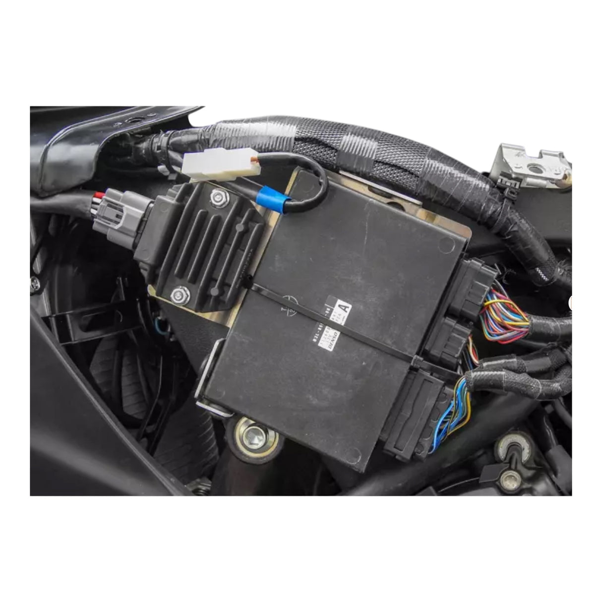 Racing fairing carbon BMW S1000RR M1000RR 2019-2024