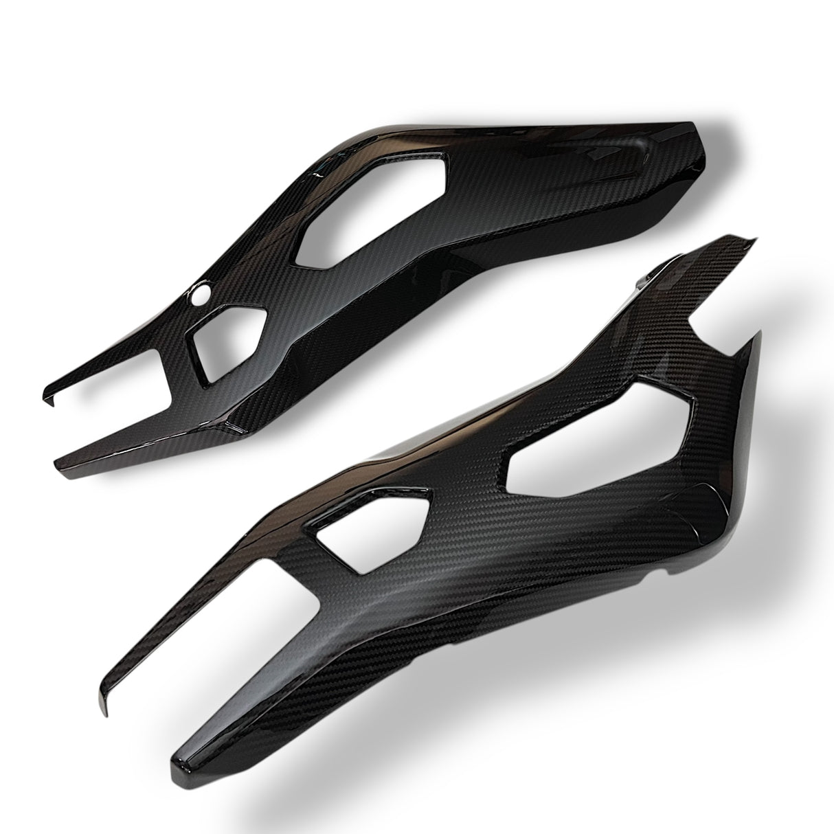 Swingarm protector Carbon BMW S1000RR M1000RR 2019-2024 / BMW S1000R 2021-2024