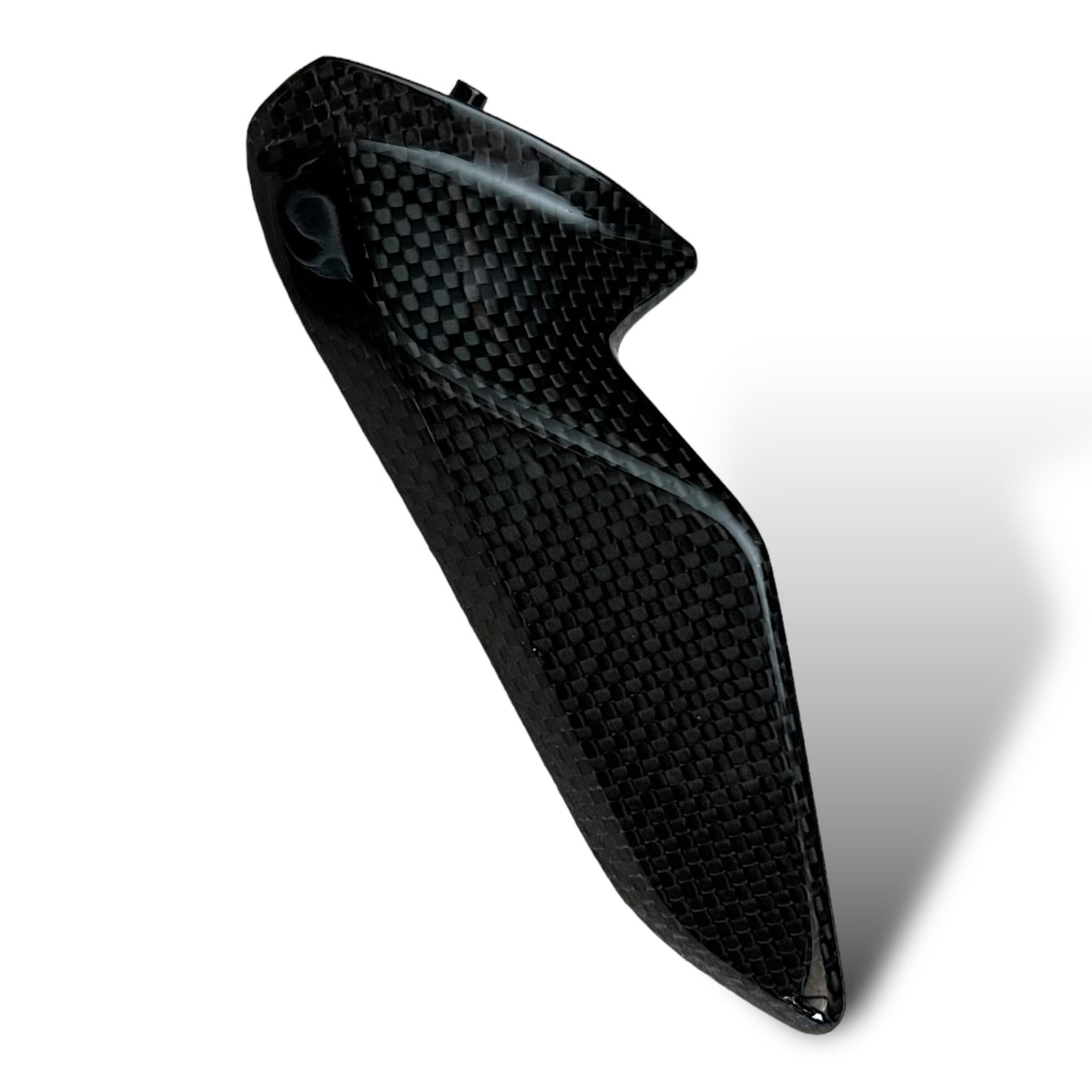 Kettenschutz Kettenfinne Carbon KIT Ducati Panigale V2 Streetfighter V2 1299 1199