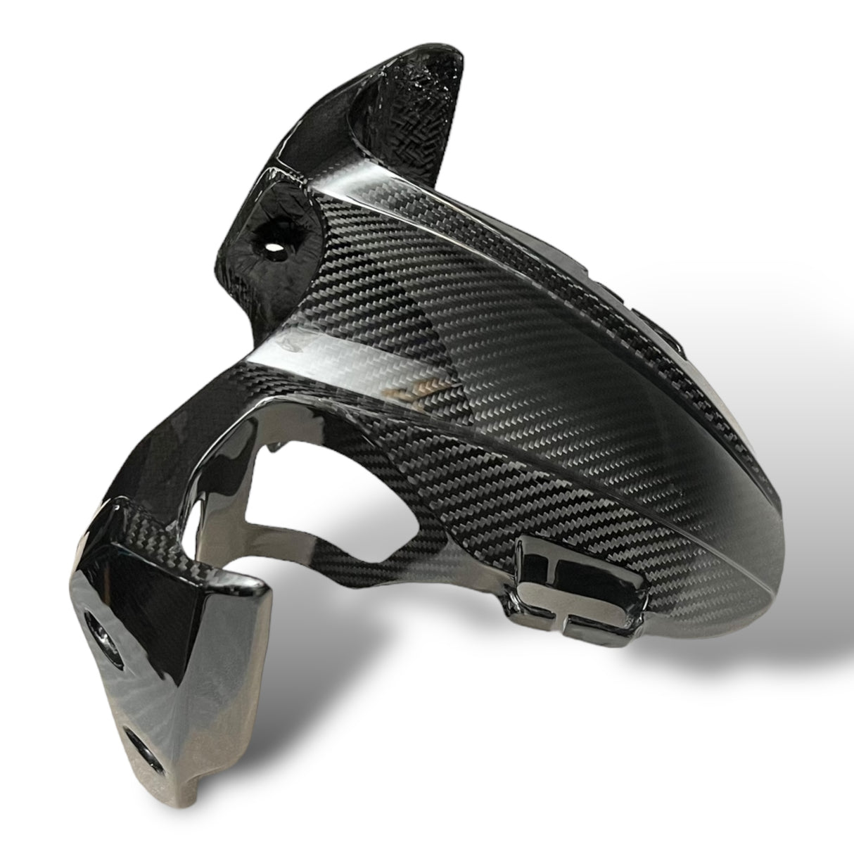 Rear wheel cover+chain guard Carbon Ducati Panigale V4 Streetfighter V4