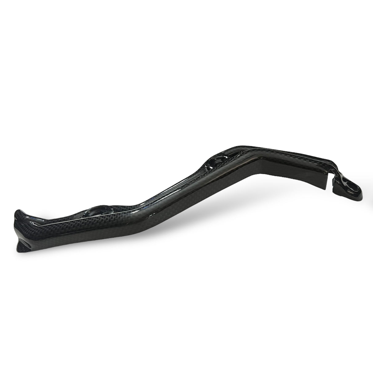 Kabelabdeckung ABS Schwinge Ducati Panigal V2 1199 1299 Streetfighter V2