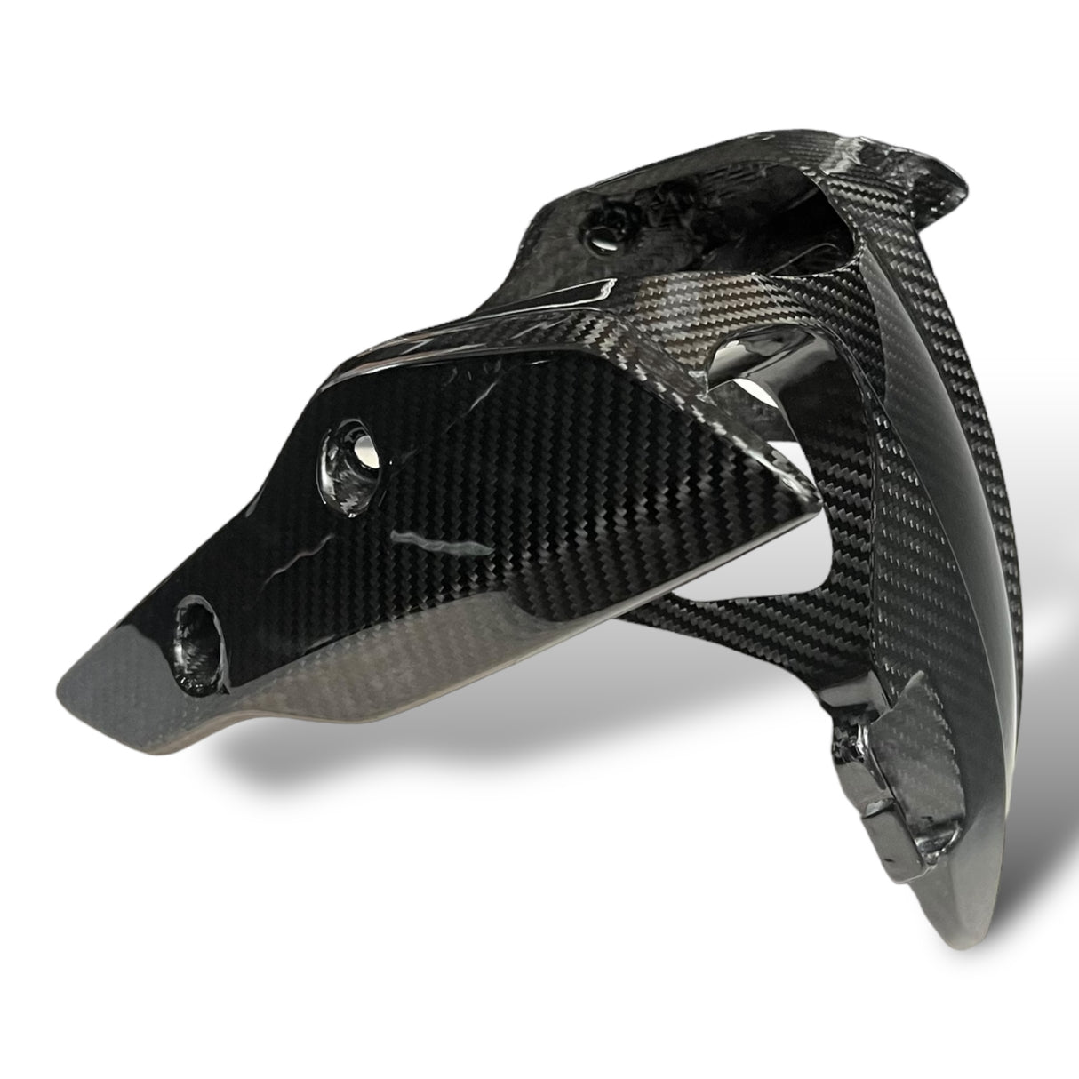 Rear wheel cover+chain guard Carbon Ducati Panigale V4 Streetfighter V4