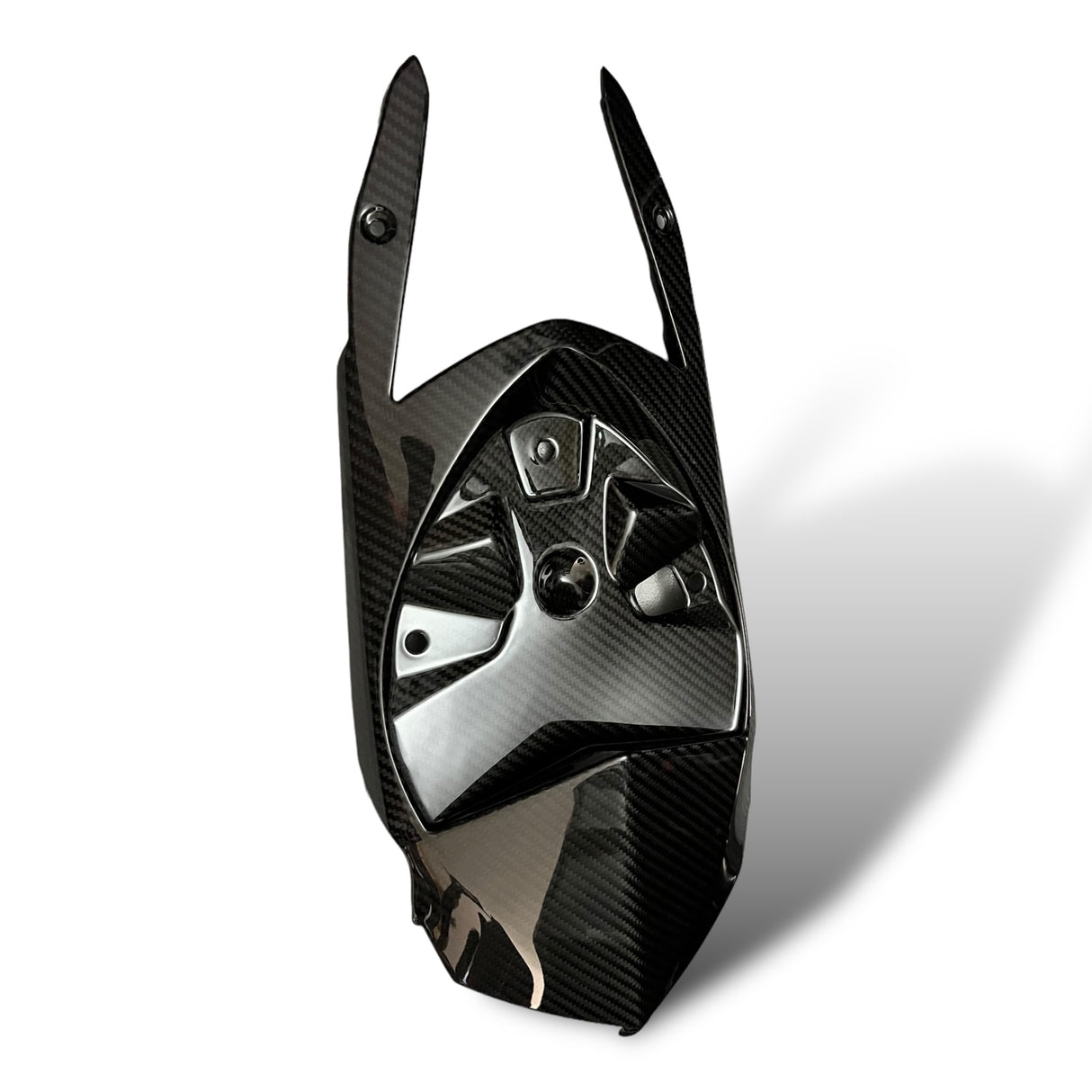 Rear Fairing Lower Part / Tail Fairing Carbon BMW S1000RR M1000RR 2023+