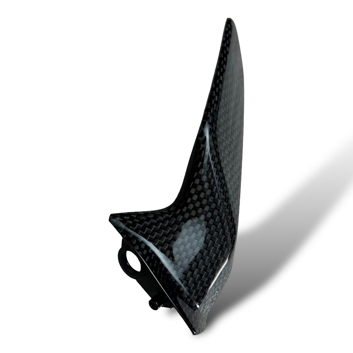 Kettenschutz Kettenfinne Carbon KIT Ducati Panigale V2 Streetfighter V2 1299 1199