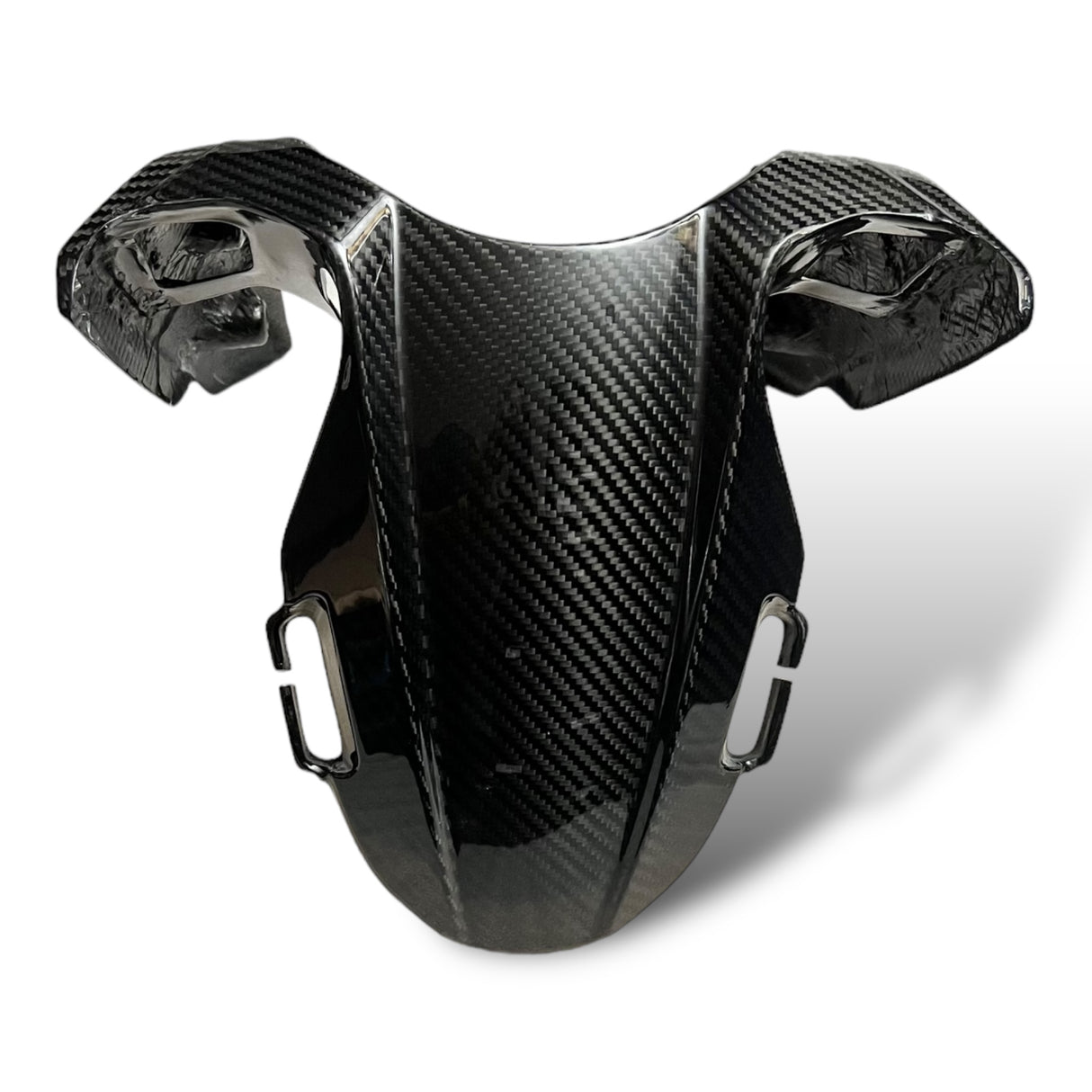 Rear wheel cover+chain guard Carbon Ducati Panigale V4 Streetfighter V4