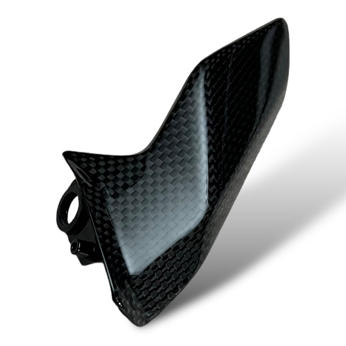 Kettenschutz Kettenfinne Carbon KIT Ducati Panigale V2 Streetfighter V2 1299 1199