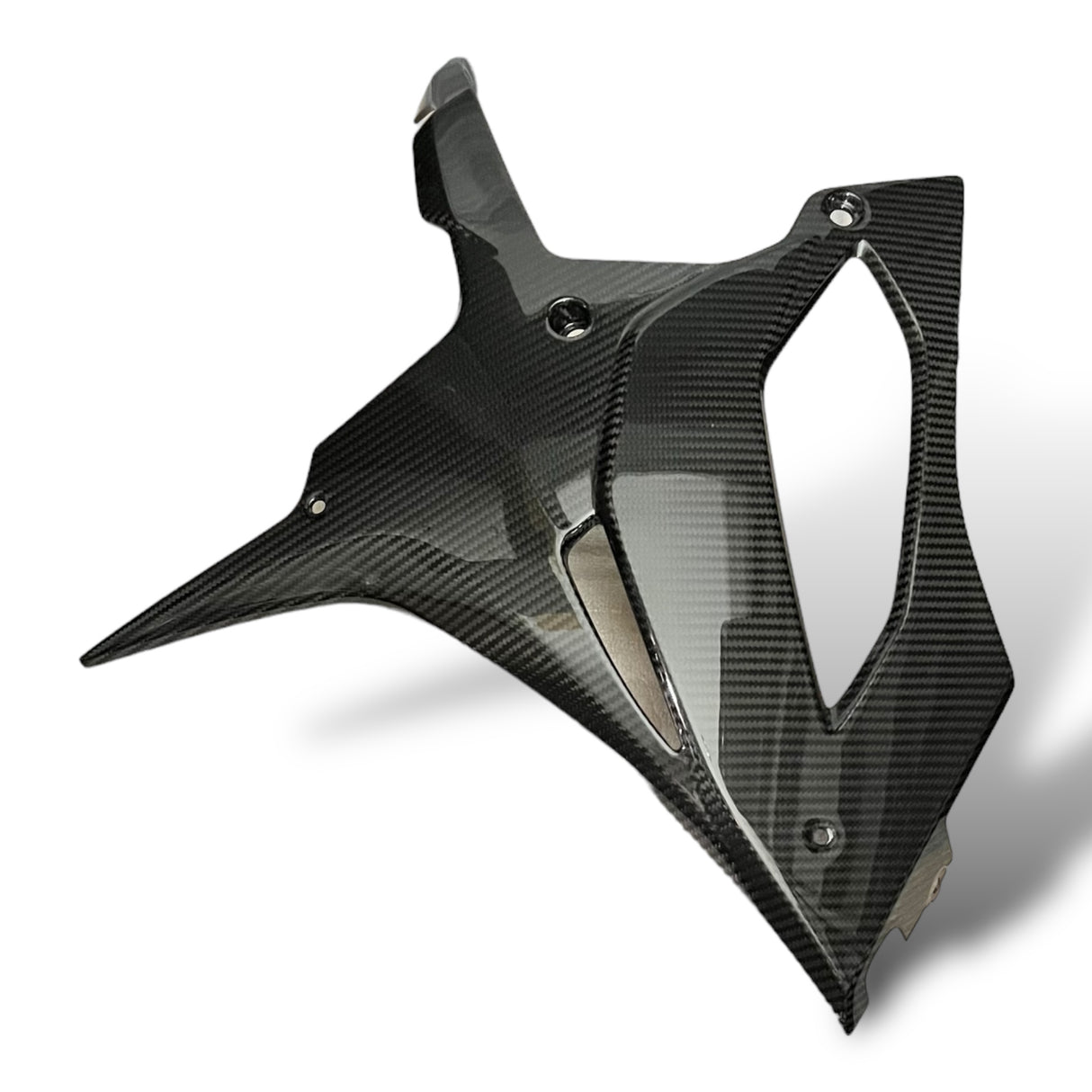 Bugverkleidung Carbon Belly Pen BMW S1000RR 2019-2025 M1000RR 2020-2022