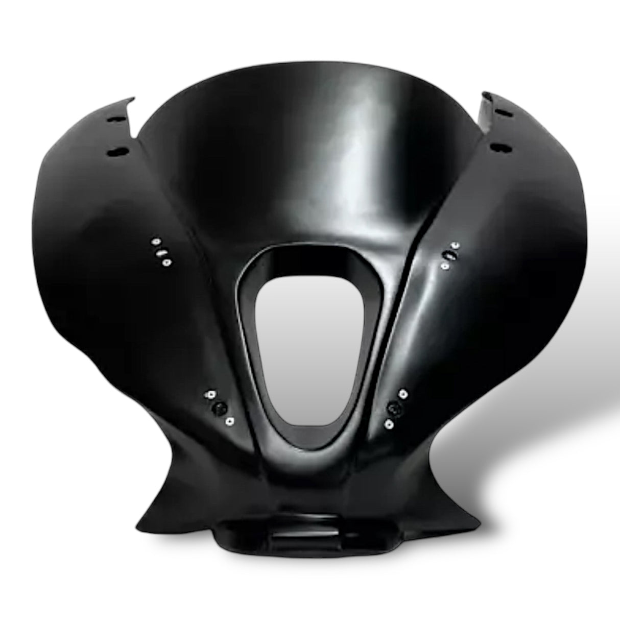 Racing fairing carbon BMW S1000RR M1000RR 2019-2024