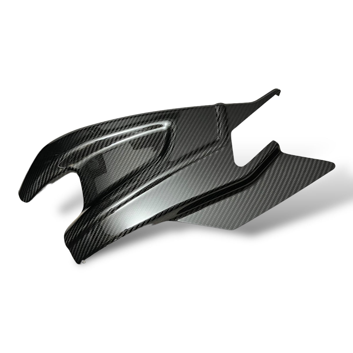 Schwingenschutz Schwingenschoner Carbon BMW S1000RR / S1000R Racing