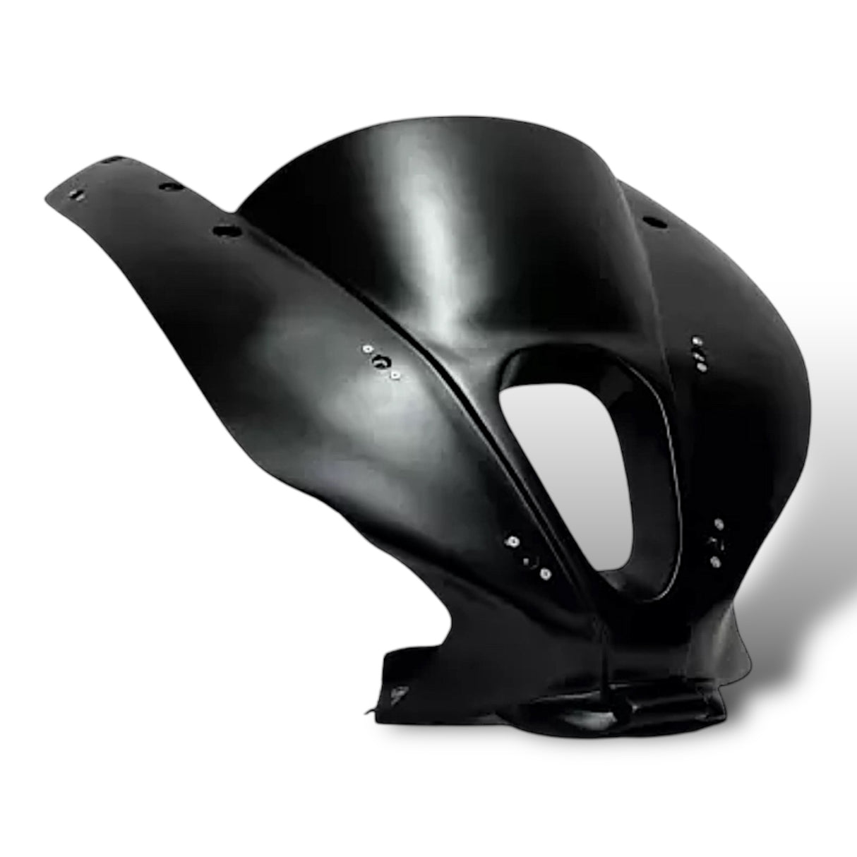 Racing fairing carbon BMW S1000RR M1000RR 2019-2024