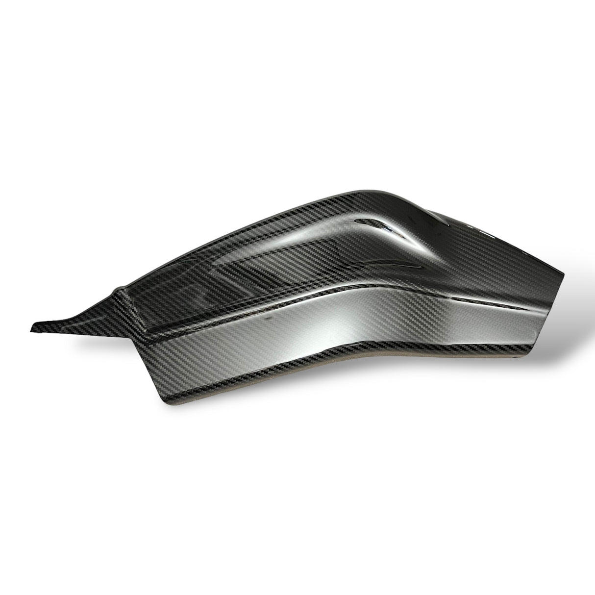 Schwingenschutz Schwingenschoner Carbon BMW S1000RR / S1000R Racing