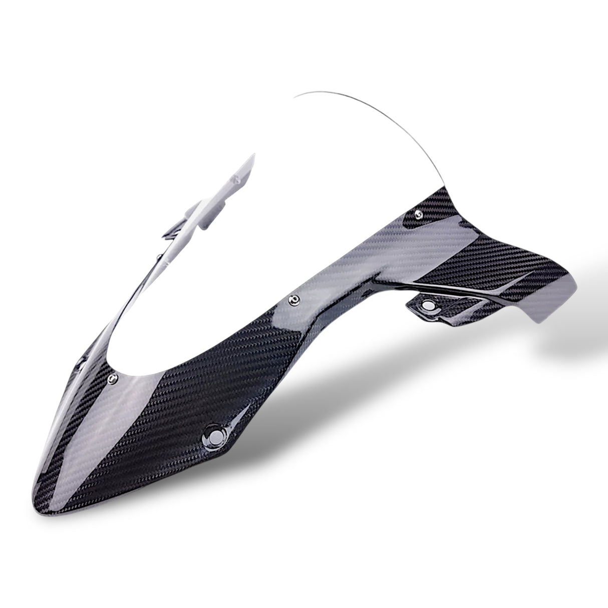 Verkleidungsscheibe Windschild Carbon BMW S1000RR M1000RR 2019+